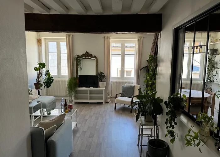 Appartement Central - Orleans